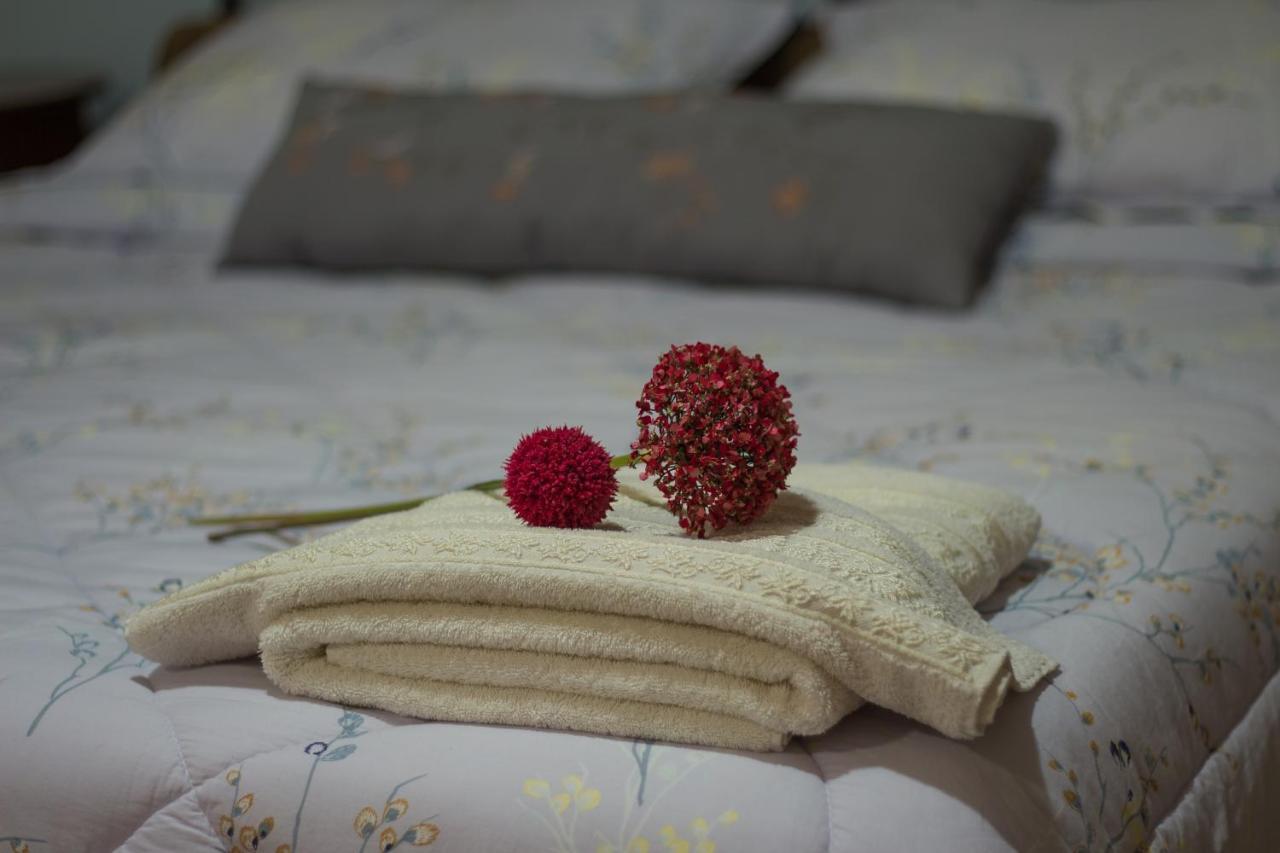 Akrolimnion Hotel Янина Екстериор снимка